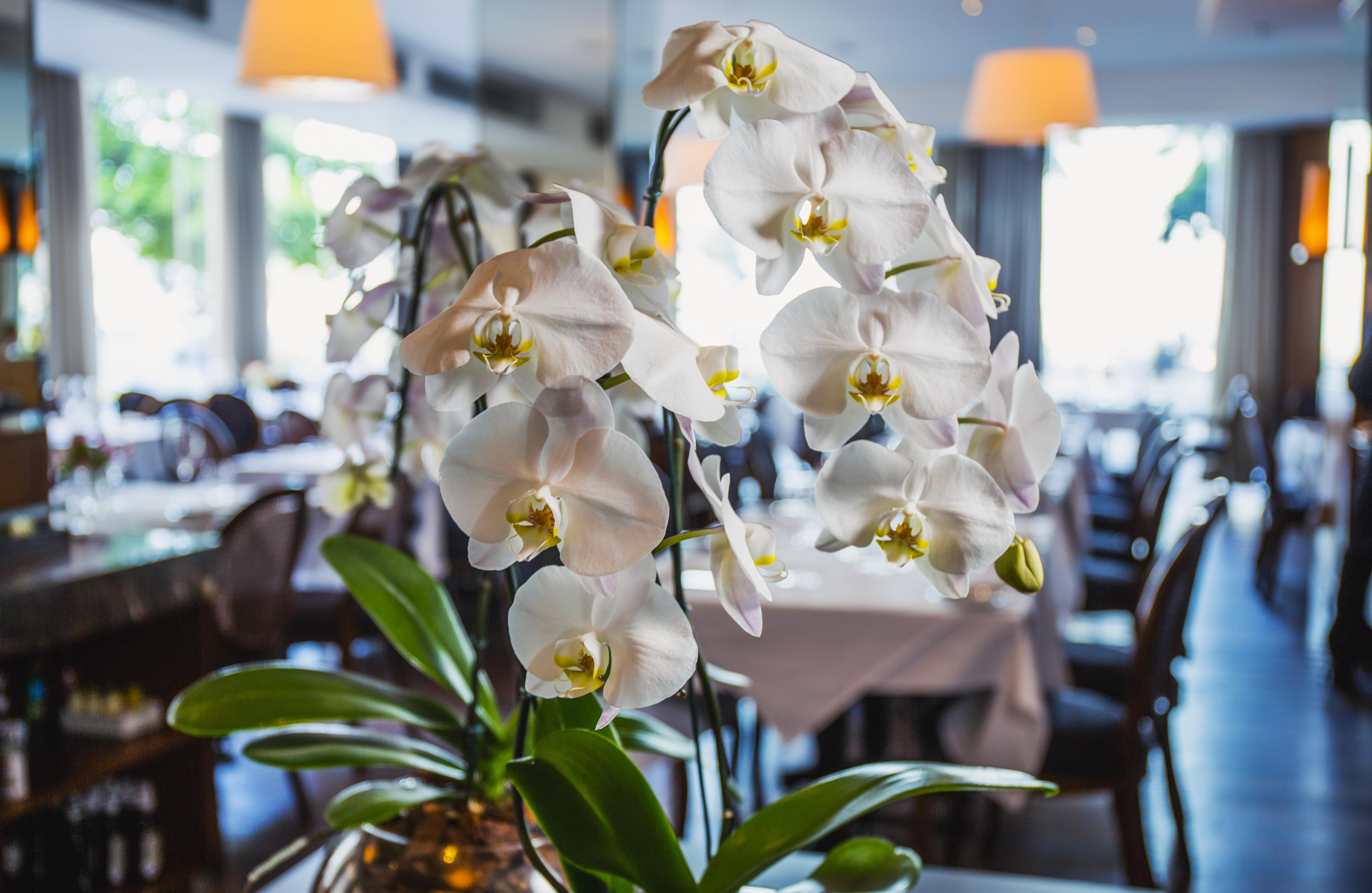 Miramar By Windsor Copacabana — Photos 2